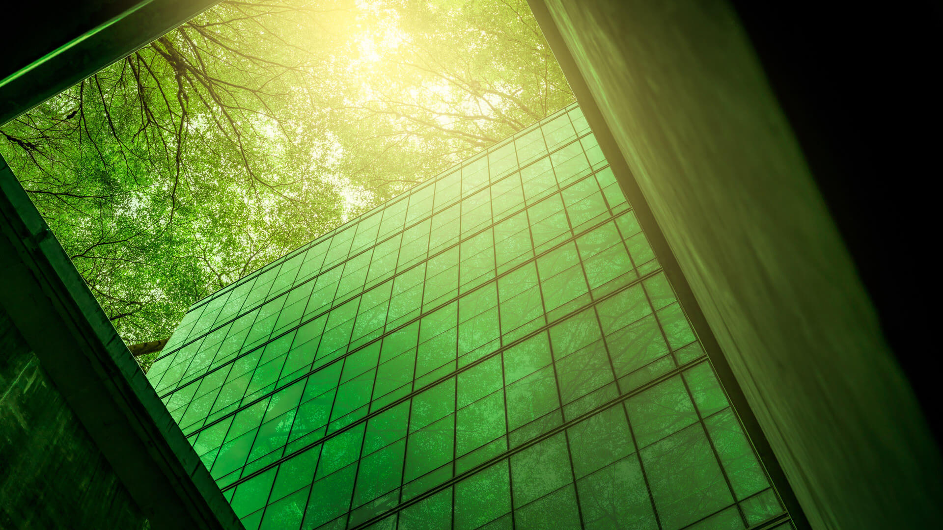 immagine bioarchitettura